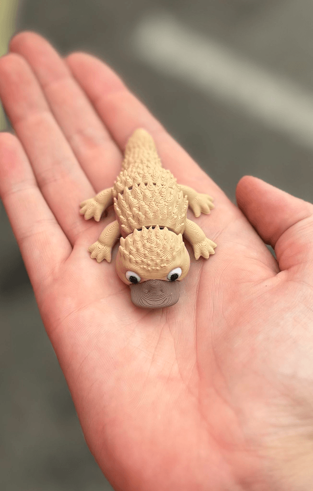 MINI Platypus