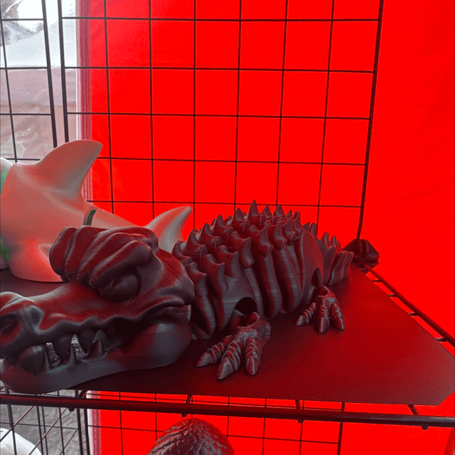 Crocodile Skeleton