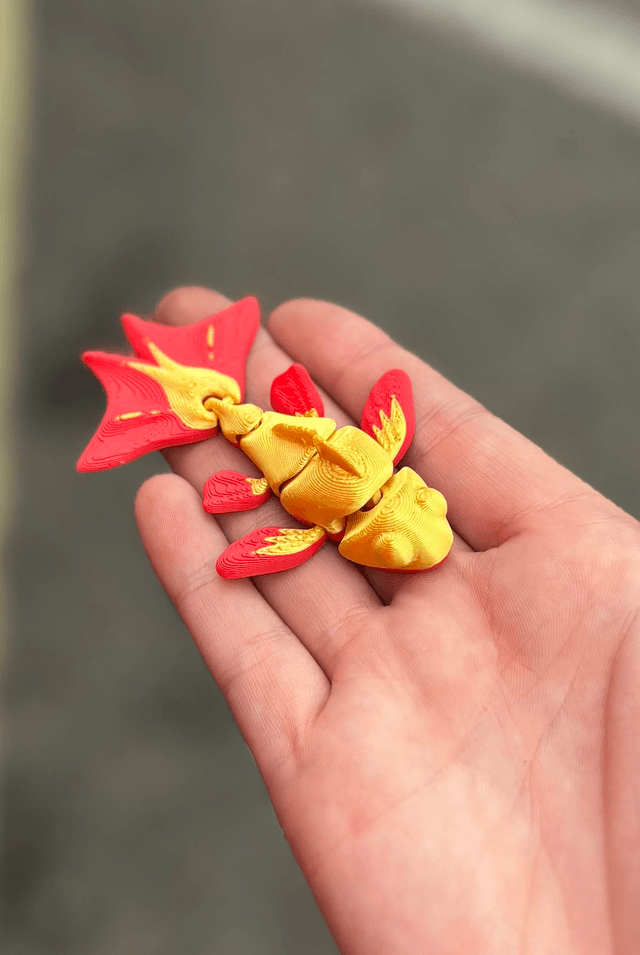 MINI Koi Fish