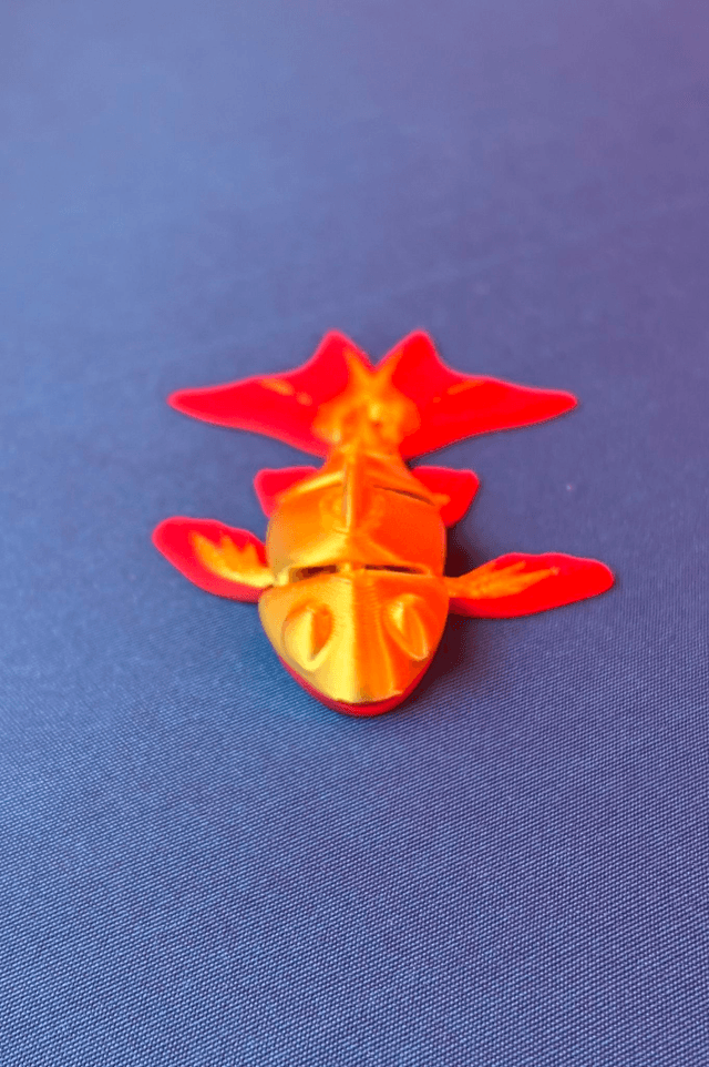 MINI Koi Fish