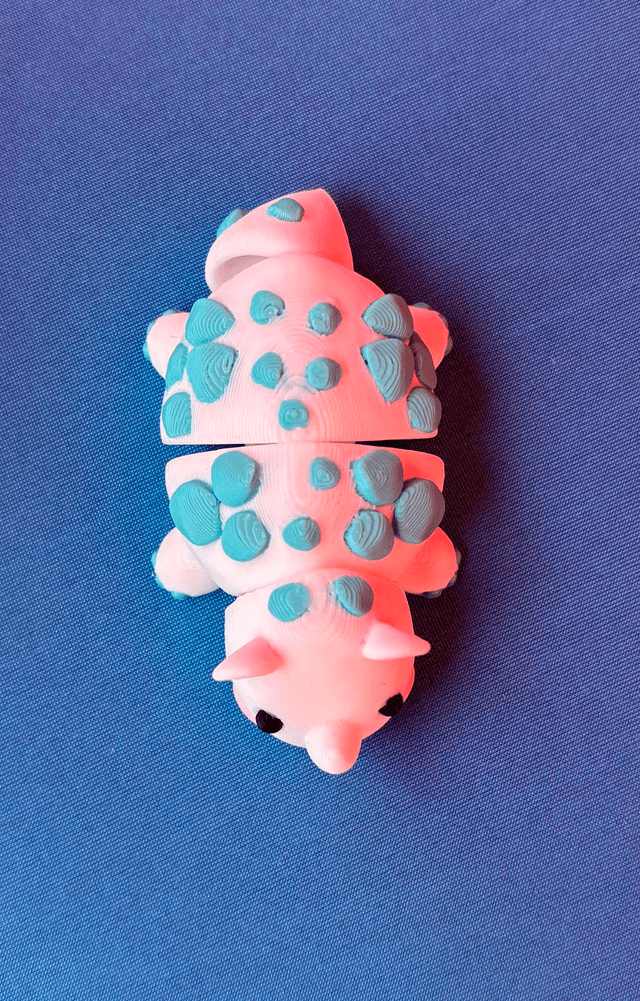 MINI White Rhino | White & Blue | Limited Edition