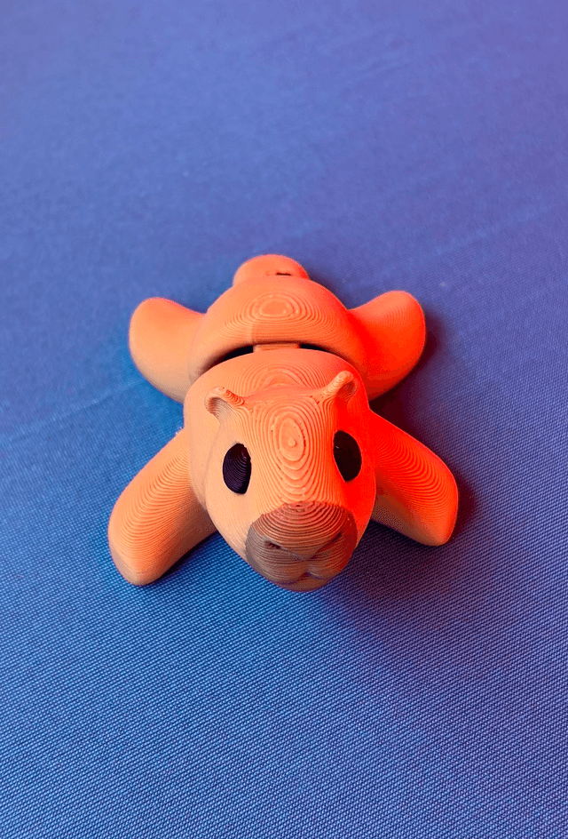 MINI Capybara