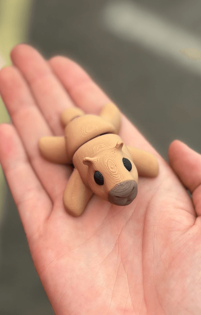 MINI Capybara